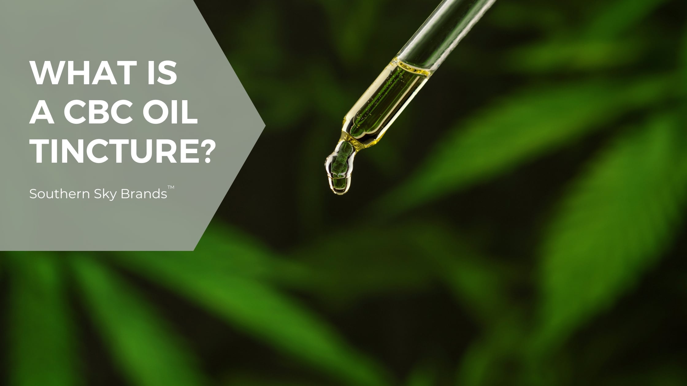 What is A CBC Oil Tincture - blog post featured image