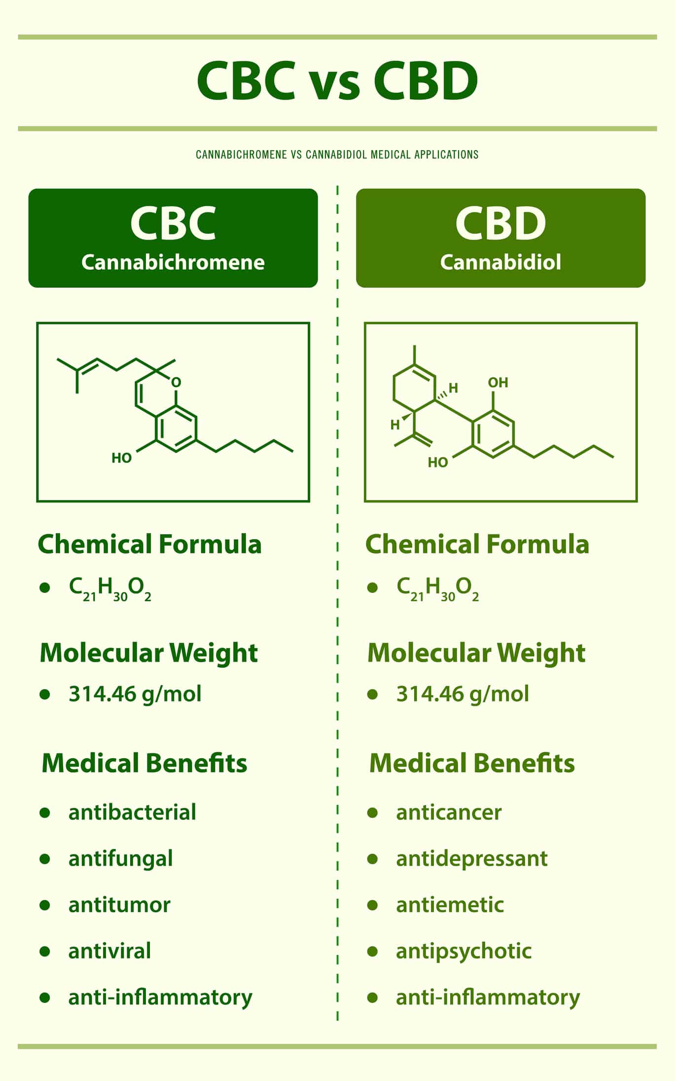 CBC vs CBD, Cannabichromene vs Cannabidiol vertical infographic illustration