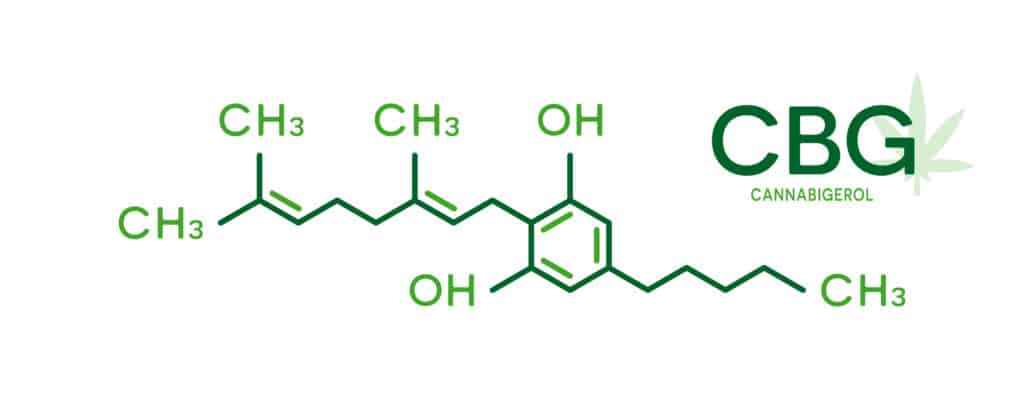 CBG molecular formula. Cannabigerol molecule structure on white background.